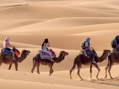 morocco-tours-from-fes-sahara-desert-trip-from-fes-camel-trekking-camel-ride