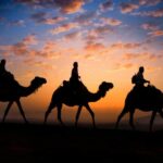 morocco-tours-from-fes-sahara-desert-trip-from-fes-camel-trekking